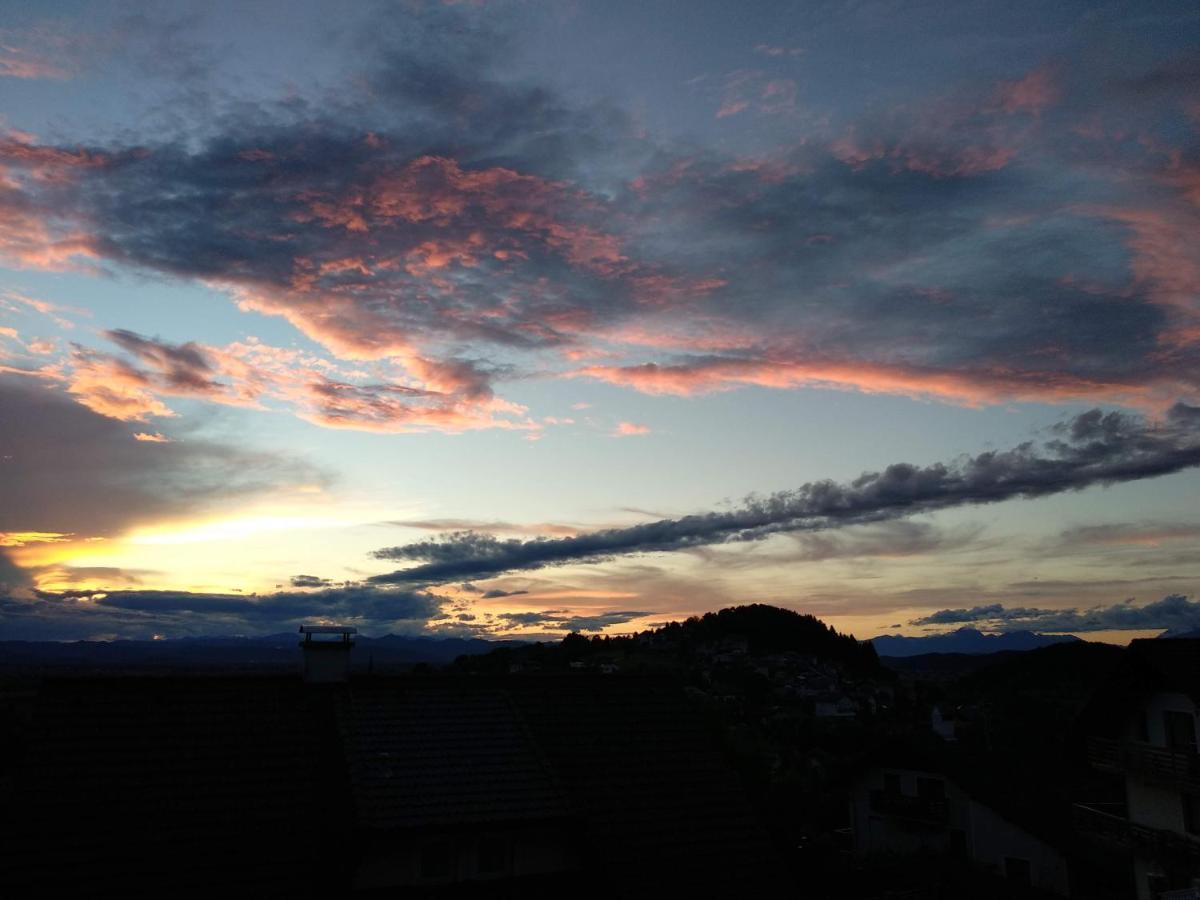 Škofljica Apartmaji Lejardin מראה חיצוני תמונה