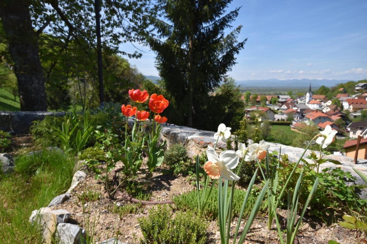 Škofljica Apartmaji Lejardin מראה חיצוני תמונה