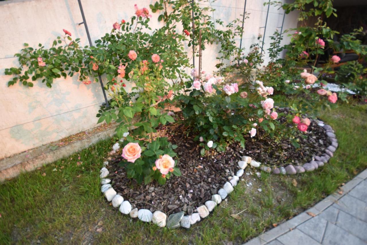 Škofljica Apartmaji Lejardin מראה חיצוני תמונה